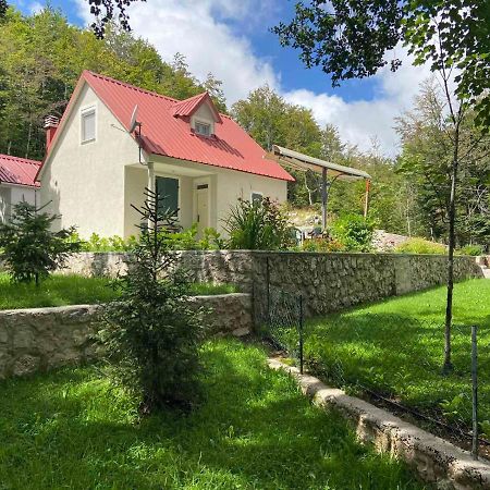 Mountain House Ivanova Korita ツェティニェ エクステリア 写真