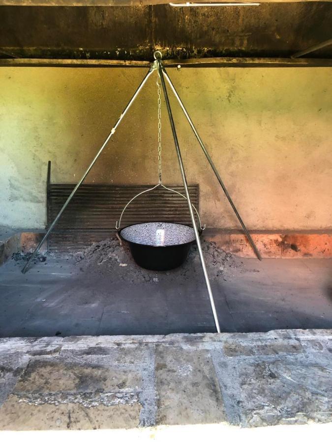 Mountain House Ivanova Korita ツェティニェ エクステリア 写真