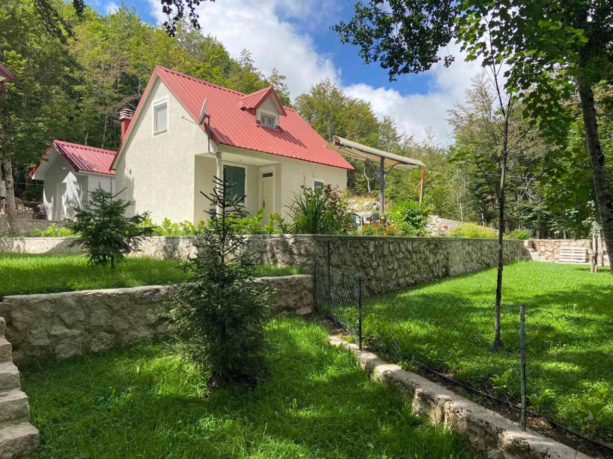 Mountain House Ivanova Korita ツェティニェ エクステリア 写真