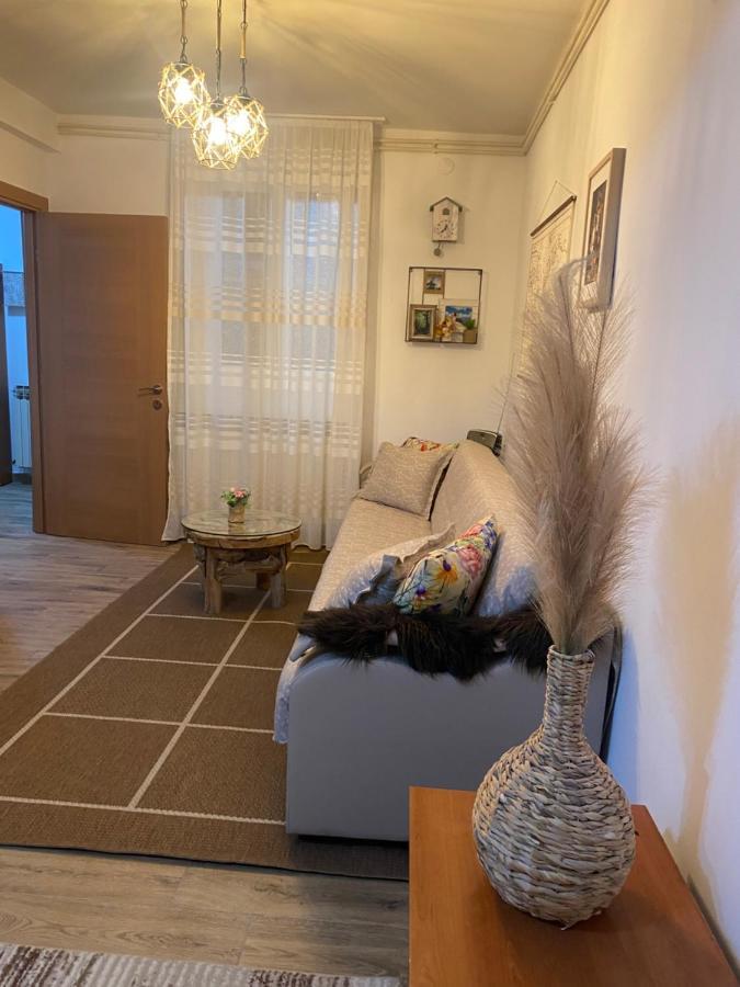 Mountain House Ivanova Korita ツェティニェ エクステリア 写真